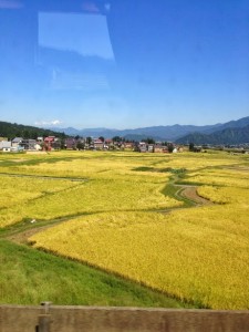 IMG_1216